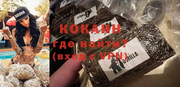 прущие грибы Вязники