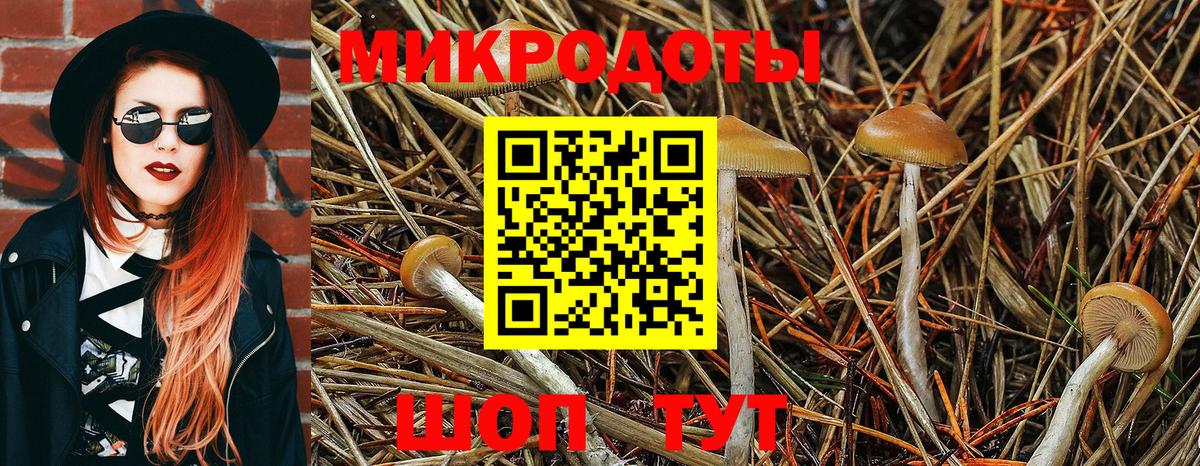 Псилоцибиновые грибы ЛСД Ессентуки